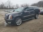 2008 Cadillac Escalade ESV