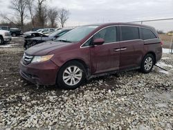 Salvage cars for sale at Cicero, IN auction: 2017 Honda Odyssey SE