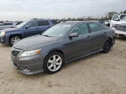 Salvage cars for sale from Copart Houston, TX: 2011 Toyota Camry Base