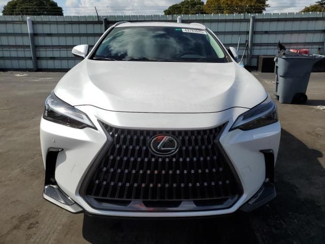 2024 Lexus NX 250 Premium