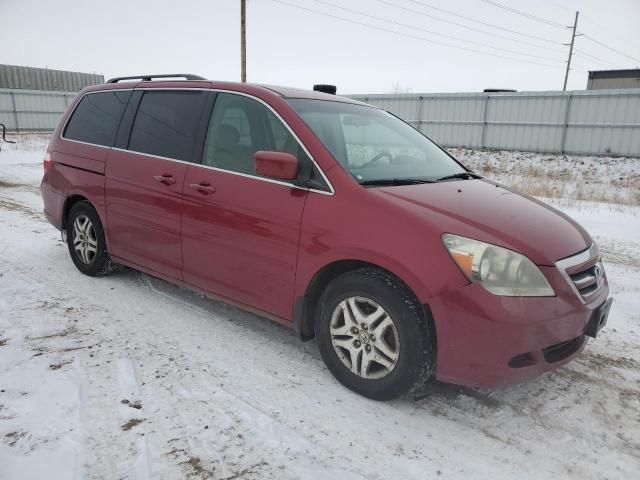 2005 Honda Odyssey EXL