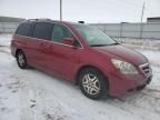 2005 Honda Odyssey EXL