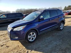 Ford Escape se salvage cars for sale: 2014 Ford Escape SE