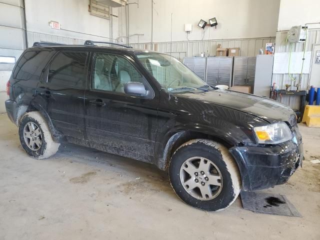 2005 Ford Escape Limited