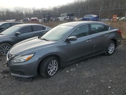 Salvage cars for sale at Baltimore, MD auction: 2016 Nissan Altima 2.5