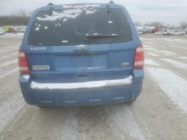 2010 Ford Escape XLT