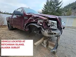 Salvage trucks for sale at Anchorage, AK auction: 2005 Ford F150