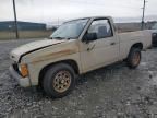 1986 Nissan D21 Short BED