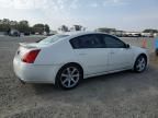 2008 Nissan Maxima SE