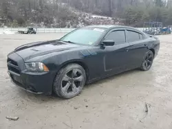 Dodge salvage cars for sale: 2014 Dodge Charger SXT