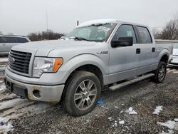 Salvage cars for sale at Hillsborough, NJ auction: 2014 Ford F150 Supercrew