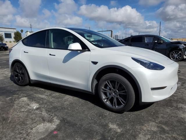 2025 Tesla Model Y