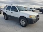 2007 Ford Escape XLT