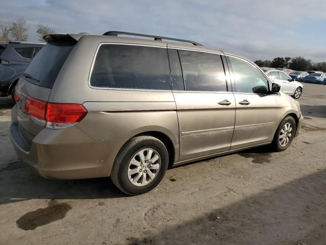 2010 Honda Odyssey EXL