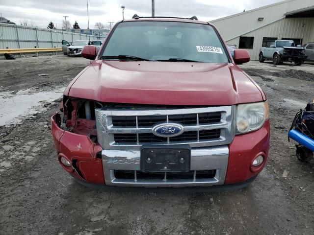 2011 Ford Escape Limited