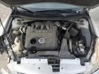 2008 Nissan Altima 3.5SE