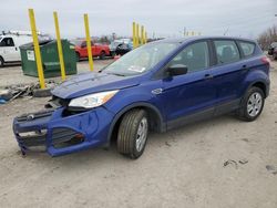 Salvage cars for sale at Indianapolis, IN auction: 2016 Ford Escape S