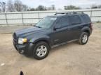 2010 Ford Escape Hybrid