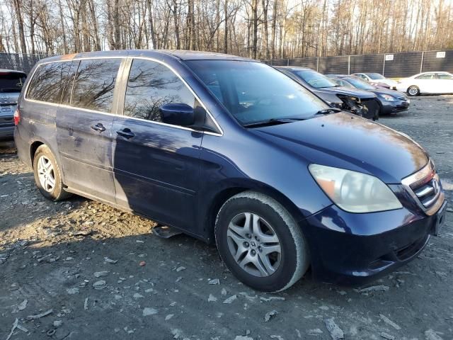 2005 Honda Odyssey EXL