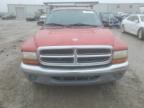 2002 Dodge Dakota SLT