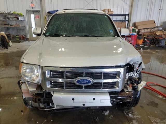 2011 Ford Escape Limited