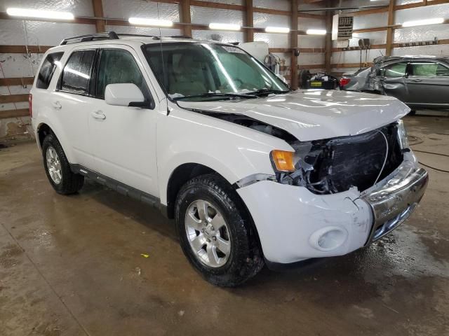 2012 Ford Escape Limited