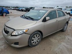 Salvage cars for sale at Houston, TX auction: 2010 Toyota Corolla Base