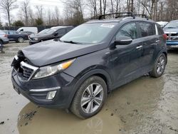 Salvage cars for sale at Waldorf, MD auction: 2014 KIA Sportage SX