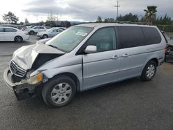 Honda salvage cars for sale: 2004 Honda Odyssey EXL