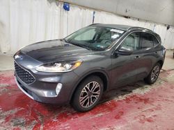 Salvage cars for sale at Angola, NY auction: 2020 Ford Escape SEL