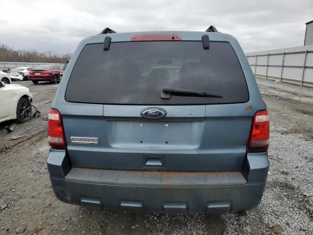 2010 Ford Escape XLT