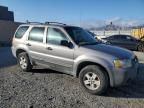 2007 Ford Escape XLS