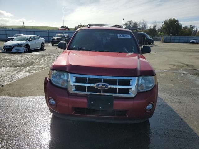 2009 Ford Escape XLT