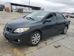 Salvage cars for sale at Grand Prairie, TX auction: 2010 Toyota Corolla Base