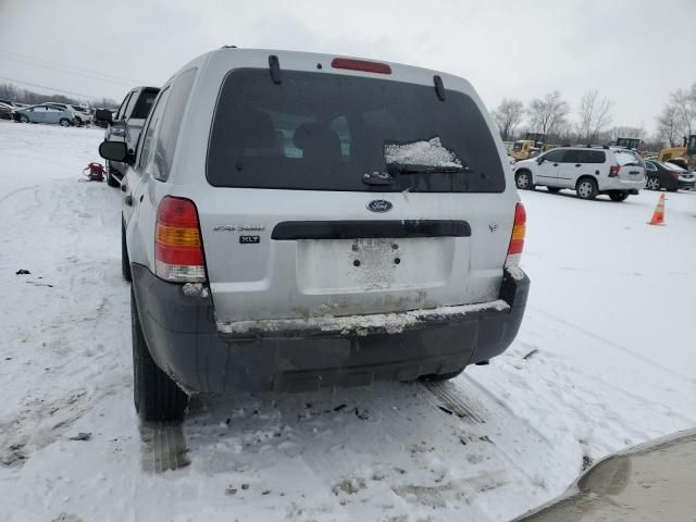 2007 Ford Escape XLT