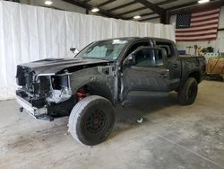 Salvage cars for sale at Earlington, KY auction: 2023 Toyota Tacoma Double Cab