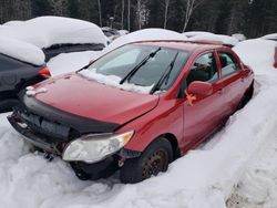 Salvage cars for sale from Copart Montreal Est, QC: 2010 Toyota Corolla Base