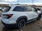 2022 Honda Pilot Trailsport