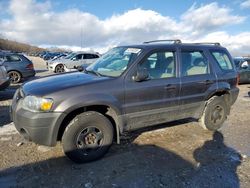 Ford Escape Vehiculos salvage en venta: 2006 Ford Escape XLS