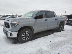 2020 Toyota Tundra Crewmax SR5 en venta en Eugene, OR