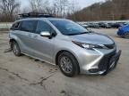 2025 Toyota Sienna LE