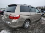 2007 Honda Odyssey EXL