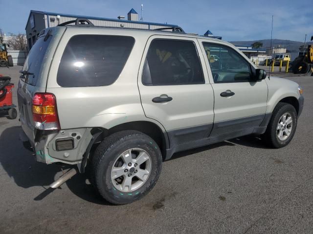 2006 Ford Escape XLT