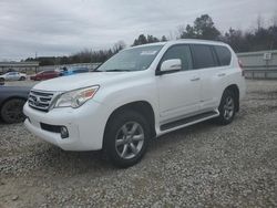 Salvage cars for sale at Memphis, TN auction: 2013 Lexus GX 460 Premium