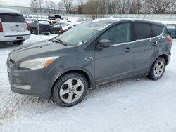 Salvage cars for sale at Davison, MI auction: 2016 Ford Escape SE