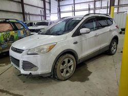 Salvage cars for sale at Lawrenceburg, KY auction: 2016 Ford Escape SE