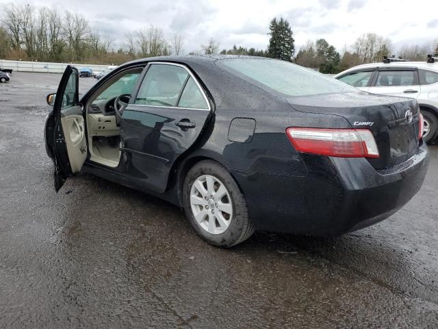 2008 Toyota Camry Hybrid