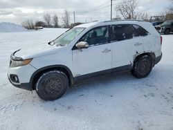 Salvage cars for sale at Montreal Est, QC auction: 2011 KIA Sorento Base