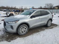 Salvage cars for sale at Chicago Heights, IL auction: 2024 Ford Escape Active