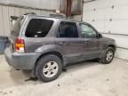 2005 Ford Escape XLT